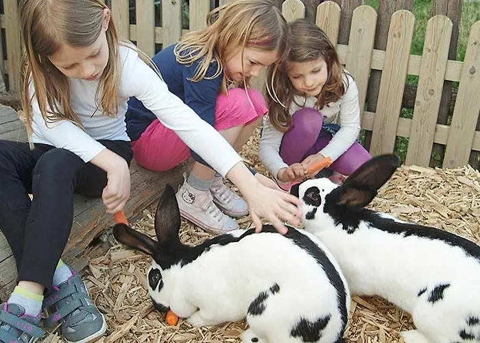 Ferienbauernhof Herrmann Lägenhet