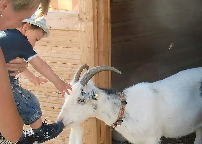 Lägenhet Ferienbauernhof Herrmann